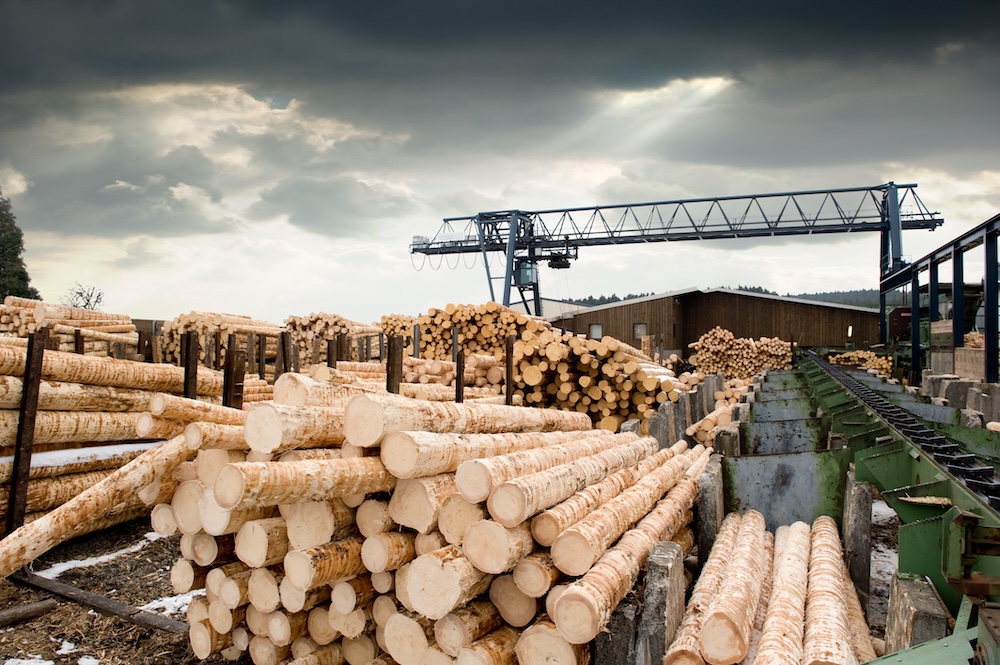 Forestry equipment for timber mills
