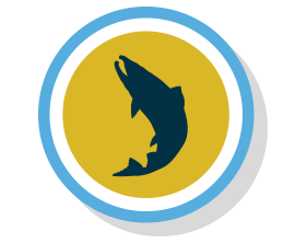 Equify Financial fish icon