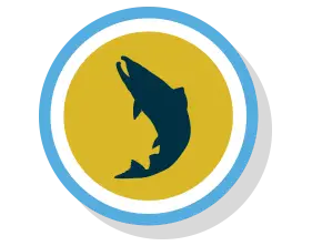 Equify Financial fish icon